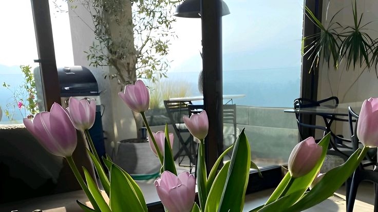 Tử vi vòng quay công nghệ ngày 6/1/2026: Tuổi Dần hanh thuận, tuổi Tý vất vả