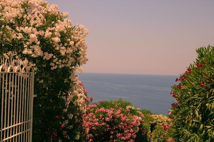 Tử vi vòng quay công nghệ ngày 8/1/2026: Tuổi Sửu cải thiện tài lộc, tuổi Ngọ tiểu nhân gây hại