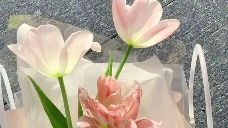 Tử vi vòng quay công nghệ ngày 12/1/2026: Tuổi Thìn gặt hái thành tích, tuổi Dần nhiều điều bất trắc