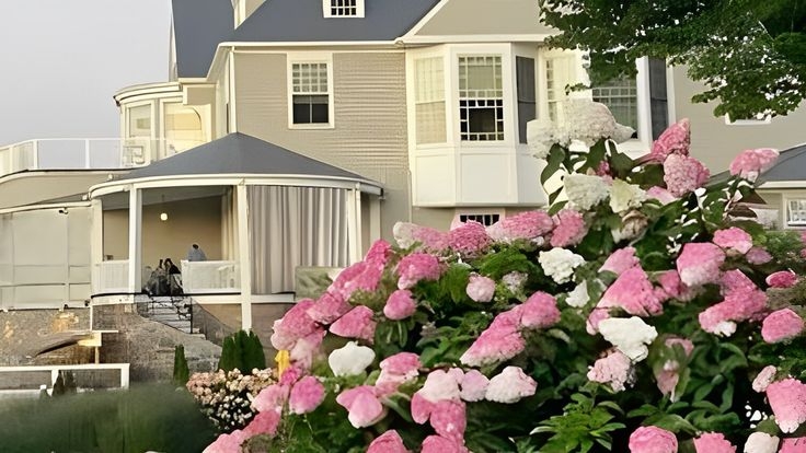 Tử vi vòng quay công nghệ ngày 13/1/2026: Tuổi Mão cơ hội làm ăn, Tuổi Dậu khó khăn và thách thức