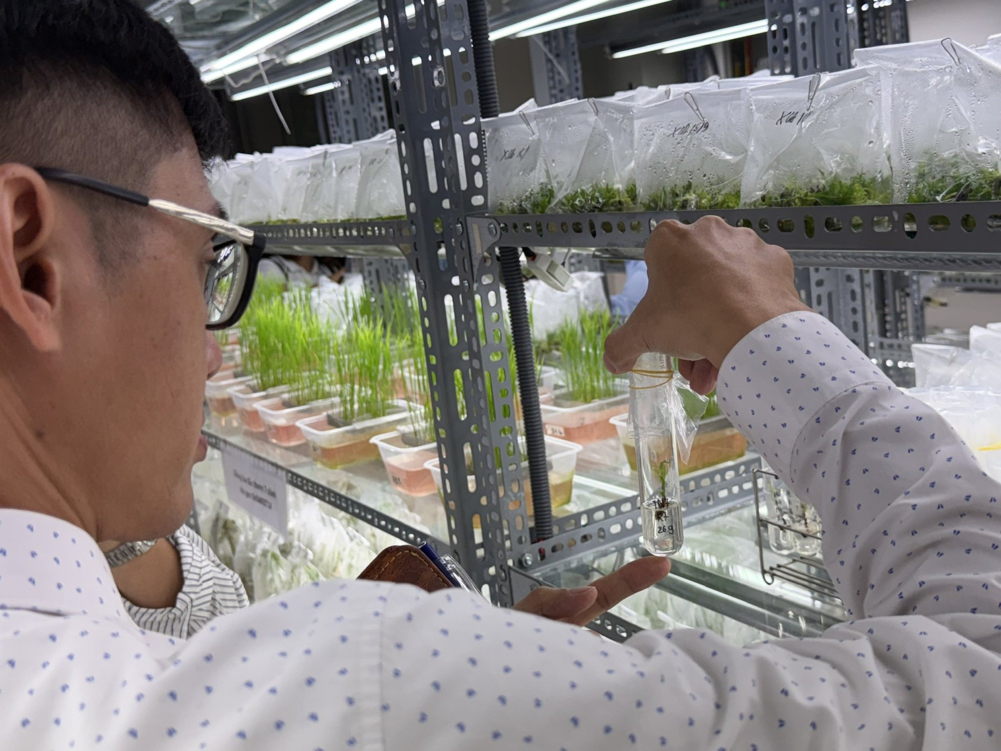 Khoa học, công nghệ – nền tảng cho nông nghiệp, môi trường phát triển bền vững Khoa học, công nghệ – nền tảng cho nông nghiệp, môi trường phát triển bền vững