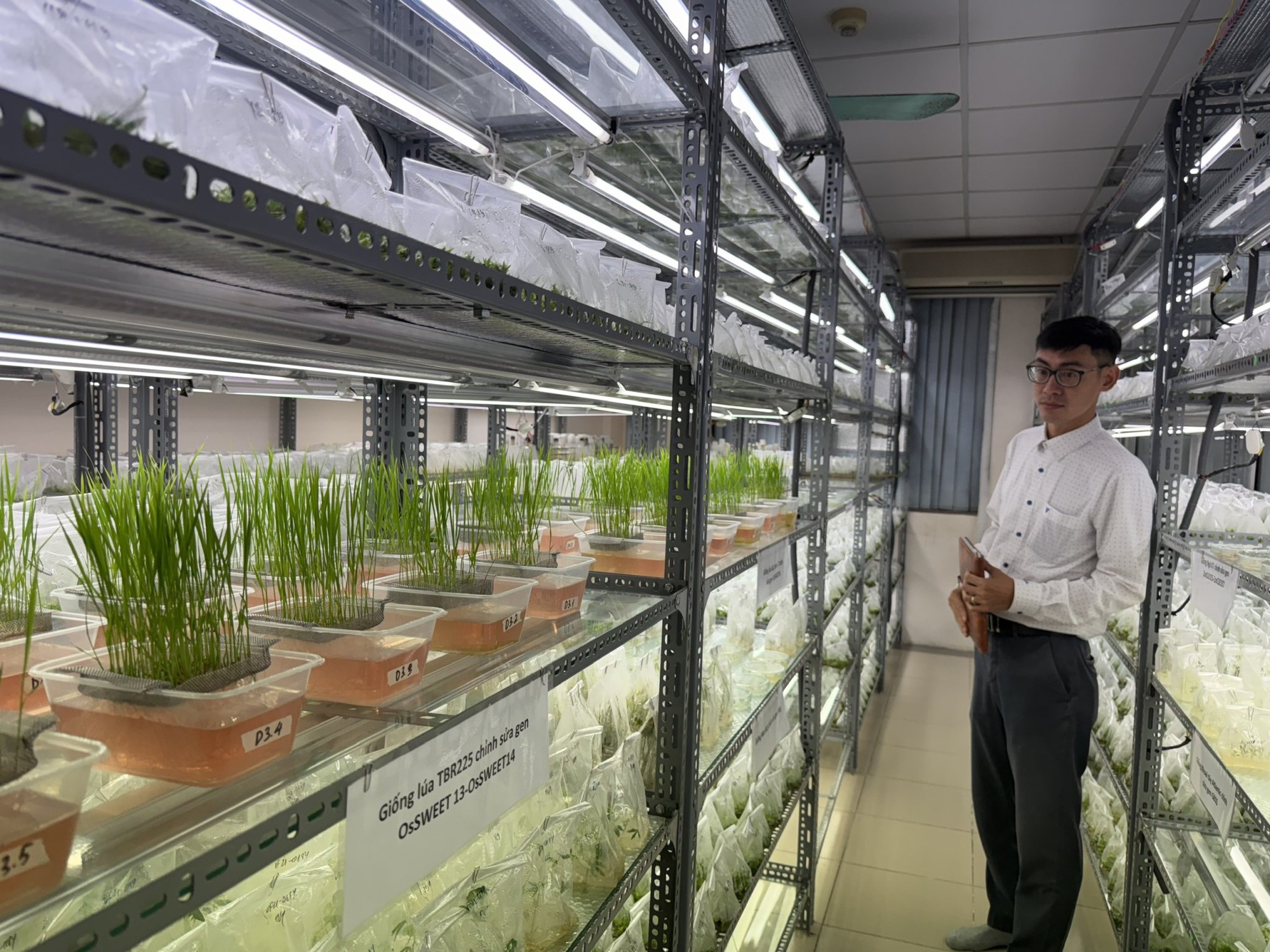 Khoa học, công nghệ – nền tảng cho nông nghiệp, môi trường phát triển bền vững Khoa học, công nghệ – nền tảng cho nông nghiệp, môi trường phát triển bền vững