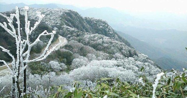 Chủ động ứng phó rét đậm, rét hại