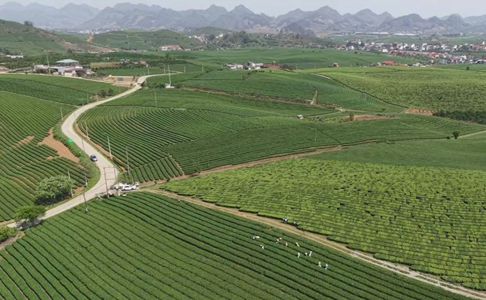 Ngành nghề phục vụ mục tiêu bảo vệ môi trường, tài nguyên thiên nhiên được ưu tiên thu hút đầu tư