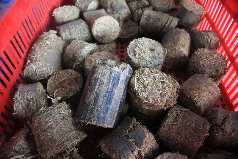 Hiệu quả mô hình sản xuất viên nén sinh khối từ rơm rạ