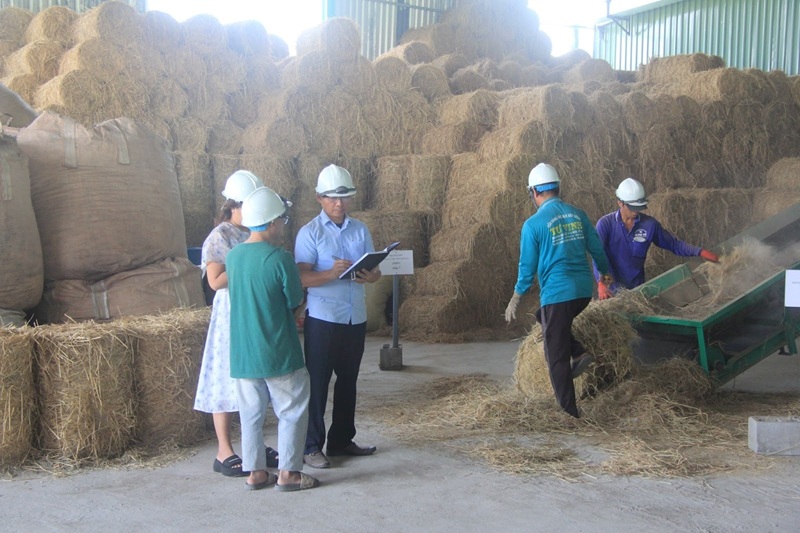 Hiệu quả mô hình sản xuất viên nén sinh khối từ rơm rạ