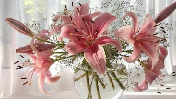 Tử vi vòng quay công nghệ ngày 24/1/2026: Tuổi Ngọ khó khăn, tuổi Mão đón nhận tin vui