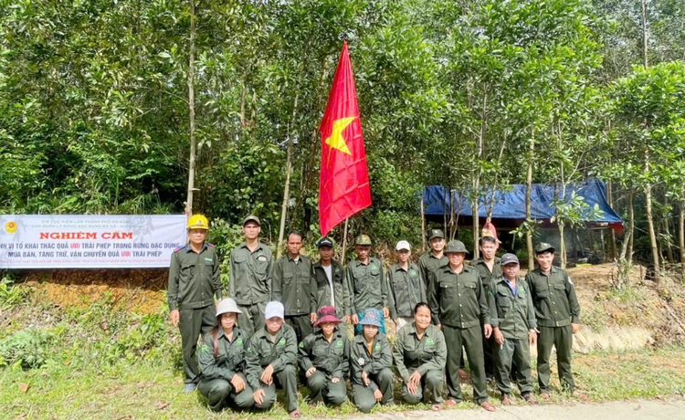 Đà Nẵng: Chú trọng phát triển rừng bền vững gắn với bảo tồn sinh thái