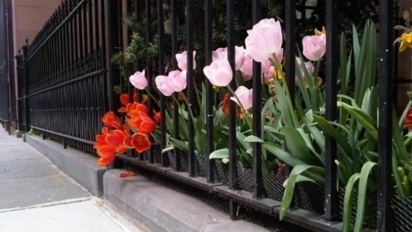 Tử vi vòng quay công nghệ ngày 25/1/2026: Tuổi Tý tình cảm thiếu hài hòa, tuổi Mùi hôm nay thuận lợi