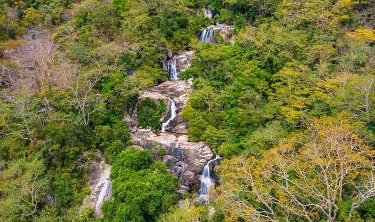 Bảo vệ, phát huy tiềm năng tại Khu Bảo tồn thiên nhiên - văn hóa Đồng Nai