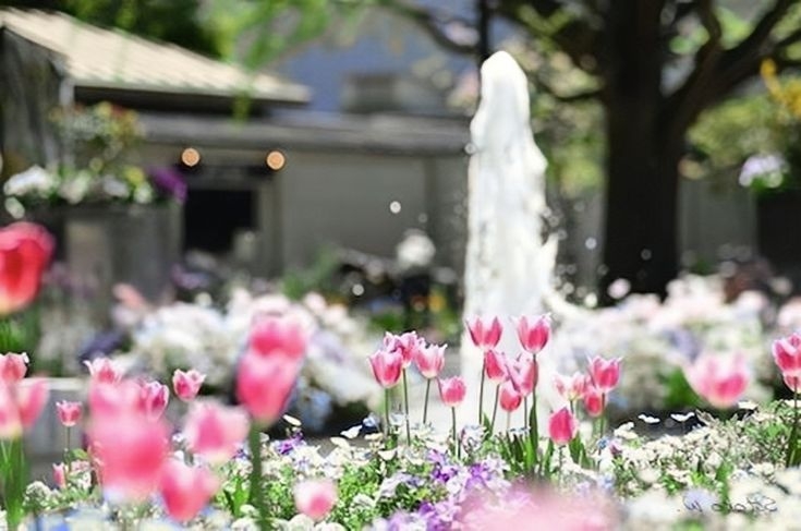 Tử vi vòng quay công nghệ ngày 30/1/2026: Tuổi Mão tiêu tốn kém, tuổi Tỵ thu hoạch tốt