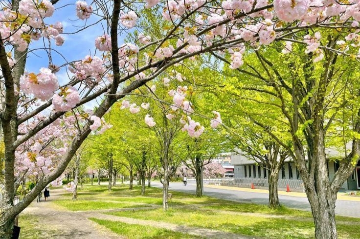 Tử vi vòng quay công nghệ ngày 31/1/2026: Tuổi Sửu vận trình vượng phát, tuổi Ngọ xảy ra tranh cãi Tử vi vòng quay công nghệ ngày 31/1/2026: Tuổi Sửu vận trình vượng phát, tuổi Ngọ xảy ra tranh cãi