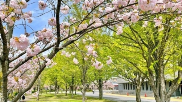 Tử vi vòng quay công nghệ ngày 31/1/2026: Tuổi Sửu vận trình vượng phát, tuổi Ngọ xảy ra tranh cãi