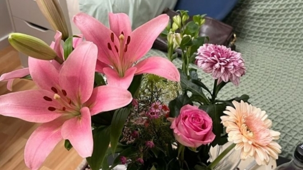 Tử vi vòng quay công nghệ ngày 1/2/2026: Tuổi Hợi kinh doanh thuận lợi, tuổi Tý  không mấy suôn sẻ