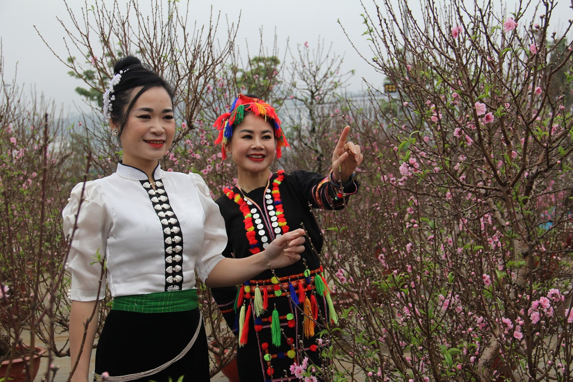 Phố núi Sơn La trước thềm xuân mới Phố núi Sơn La trước thềm xuân mới