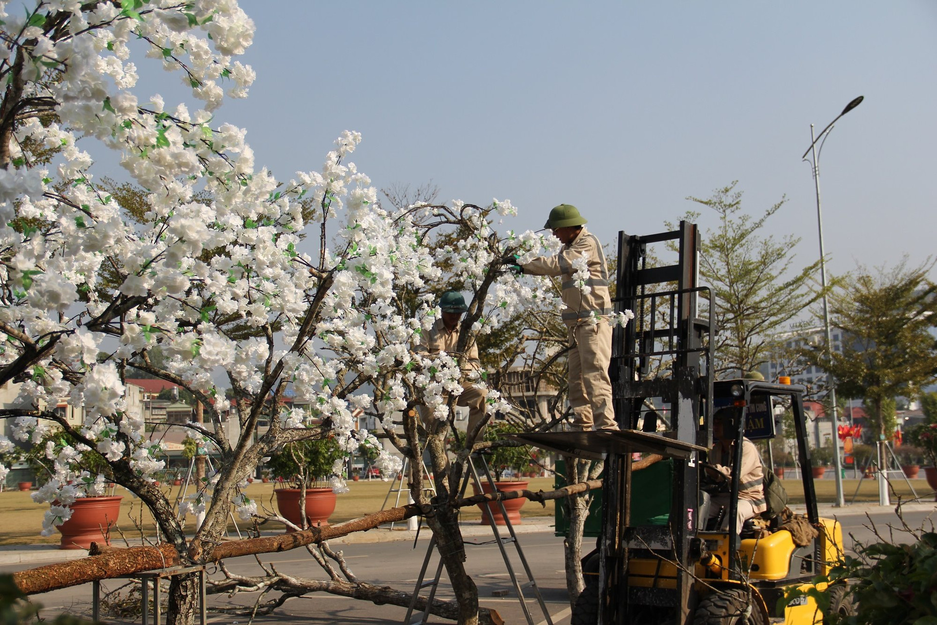 Phố núi Sơn La trước thềm xuân mới Phố núi Sơn La trước thềm xuân mới