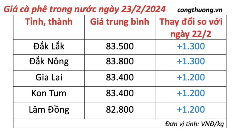 Giá cà phê hôm nay, 23/2/2024: Giá cà phê trong nước lập đỉnh mới