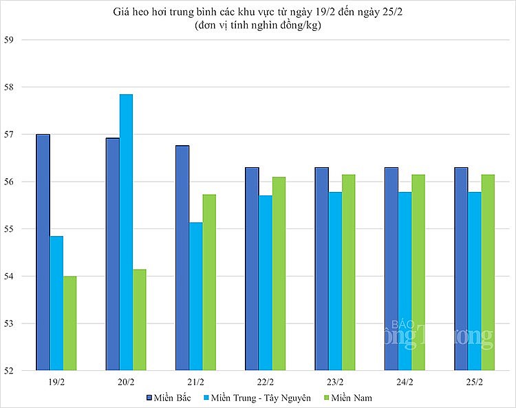 Giá heo hơi hôm nay ngày 25/2/2024: Quanh mức 56.000 đồng/kg