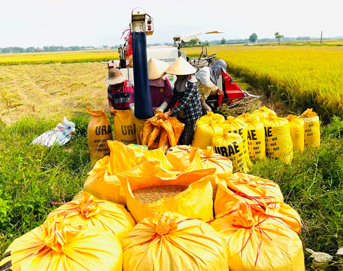 Vai trò lãnh đạo của Đảng trong phát triển nông nghiệp, nông thôn