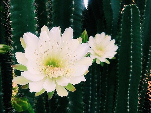 Tử vi vòng quay công nghệ ngày 4/2/2025: