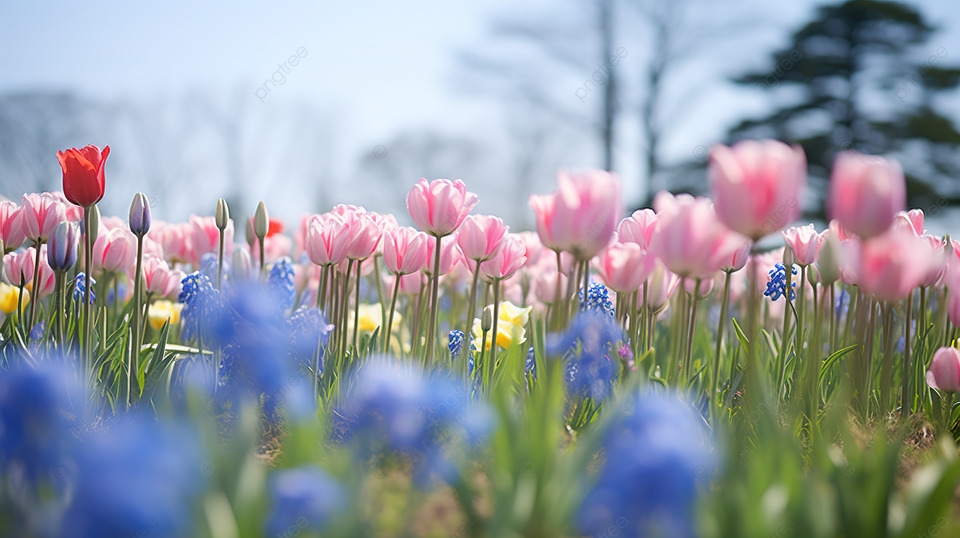 Tử vi vòng quay công nghệ ngày 9/2/2025: Tuổi Tý vô cùng thuận lợi, tuổi Tuất gặp chuyện thị phi Tử vi vòng quay công nghệ ngày 9/2/2025: Tuổi Tý vô cùng thuận lợi, tuổi Tuất gặp chuyện thị phi