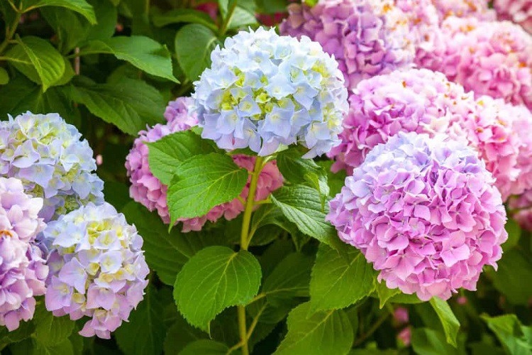 Tử vi vòng quay công nghệ ngày 10/2/2025: Tuổi Tý gặp rắc rối, tuổi Thìn hay gặp may Tử vi vòng quay công nghệ ngày 10/2/2025: Tuổi Tý gặp rắc rối, tuổi Thìn hay gặp may