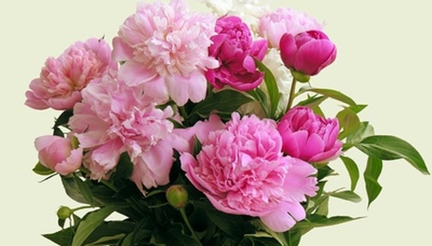 Tử vi vòng quay công nghệ ngày 11/2/2025: Tử vi vòng quay công nghệ ngày 11/2/2025: