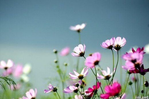 Tử vi vòng quay công nghệ ngày 16/2/2025: Tuổi Thìn khá suôn sẻ, tuổi Hợi gặp khó khăn