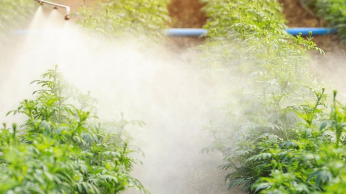 Bị phản ứng, EU bỏ kế hoạch cắt giảm thuốc trừ sâu