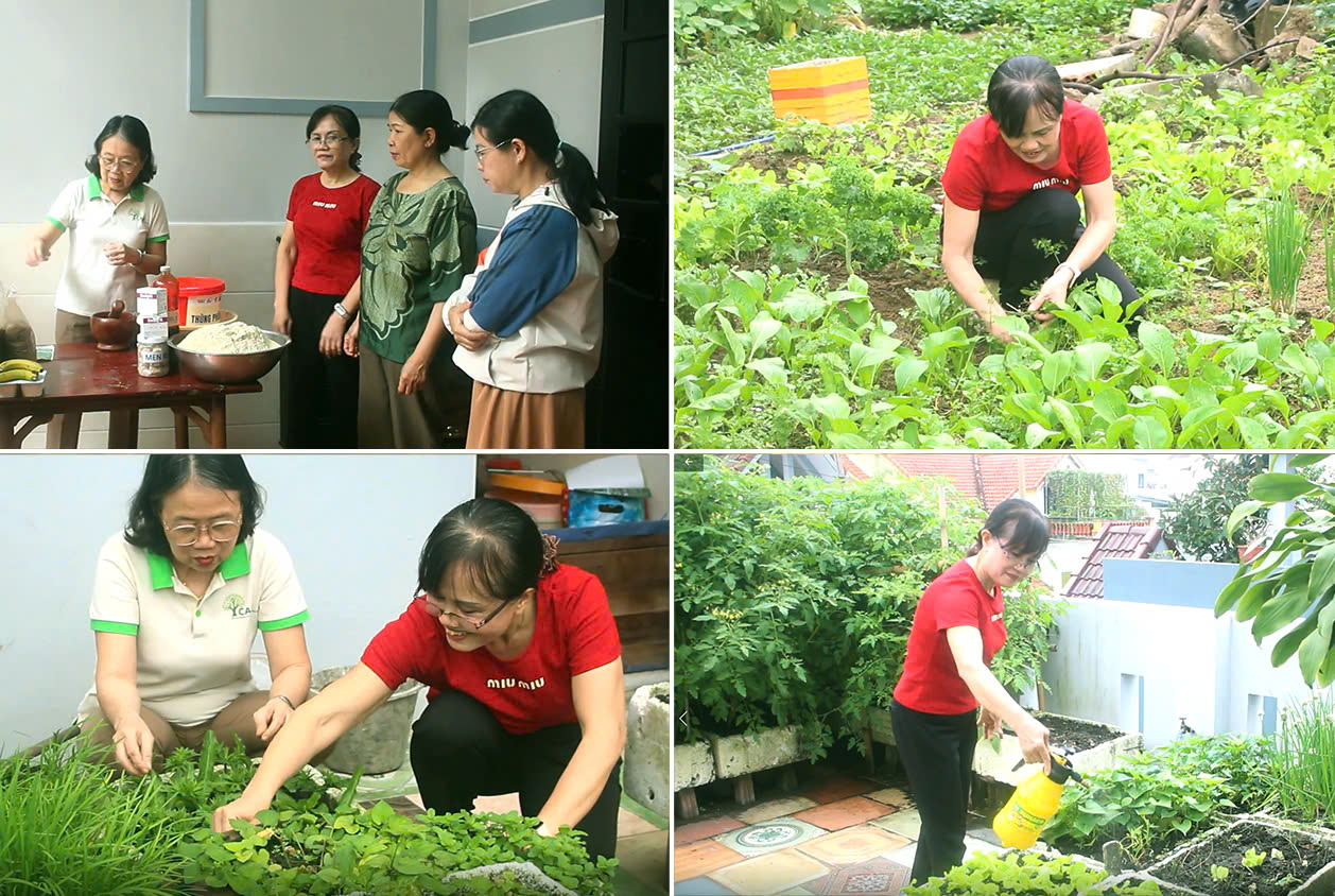 "Sạch từ bếp - Xanh từ vườn": Giải pháp bền vững cho môi trường "Sạch từ bếp - Xanh từ vườn": Giải pháp bền vững cho môi trường