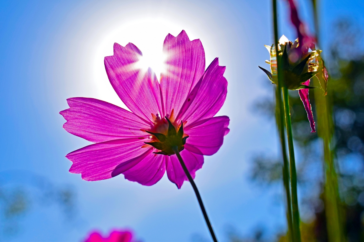 Tử vi vòng quay công nghệ ngày 26/2/2025: Tổi Dần cần phải cẩn trọng, tuổi Thìn phát triển hài hòa Tử vi vòng quay công nghệ ngày 26/2/2025: Tổi Dần cần phải cẩn trọng, tuổi Thìn phát triển hài hòa