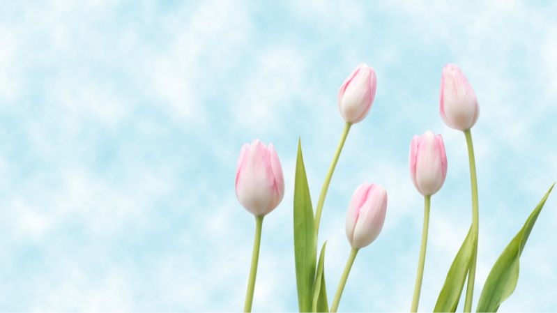 Tử vi vòng quay công nghệ ngày 27/2/2025: Tuổi Tý khá khó khăn, tuổi Ngọ hoàn thành tốt công việc Tử vi vòng quay công nghệ ngày 27/2/2025: Tuổi Tý khá khó khăn, tuổi Ngọ hoàn thành tốt công việc