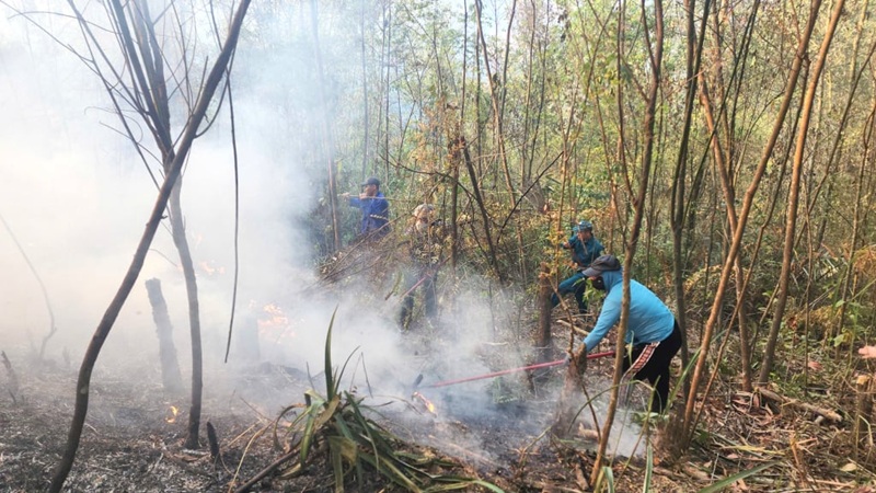 Chủ động bố trí lực lượng, phương tiện ứng phó nguy cơ cháy rừng dịp Tết
