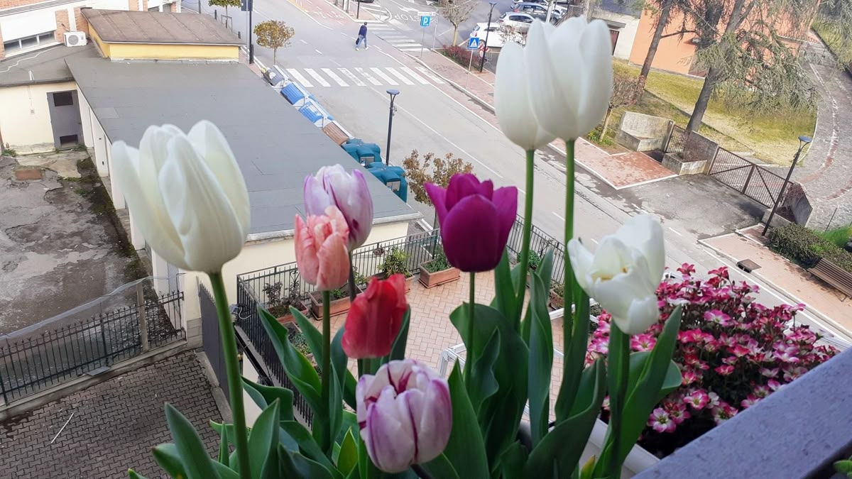 Tử vi vòng quay công nghệ ngày 4/2/2026: Tuổi Mão trở ngại tình cảm, tuổi Hợi tin vui tài chính Tử vi vòng quay công nghệ ngày 4/2/2026: Tuổi Mão trở ngại tình cảm, tuổi Hợi tin vui tài chính