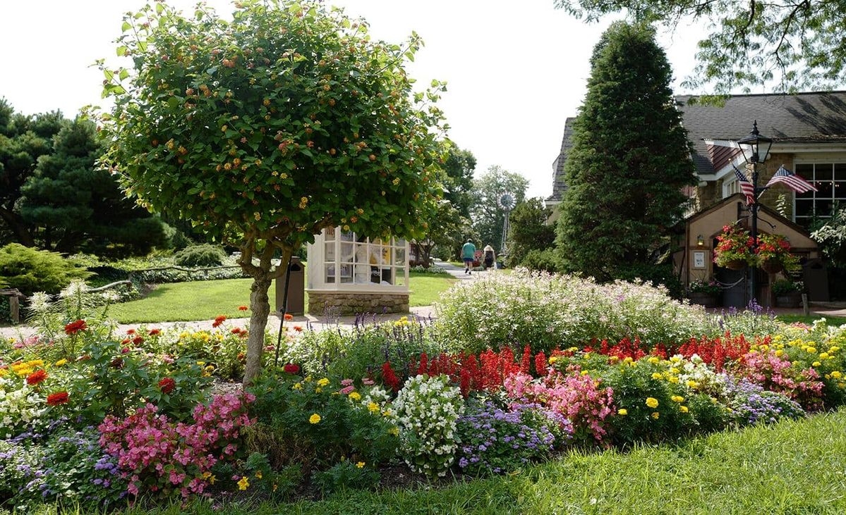 Tử vi vòng quay công nghệ ngày 4/2/2026: Tuổi Mão trở ngại tình cảm, tuổi Hợi tin vui tài chính Tử vi vòng quay công nghệ ngày 4/2/2026: Tuổi Mão trở ngại tình cảm, tuổi Hợi tin vui tài chính