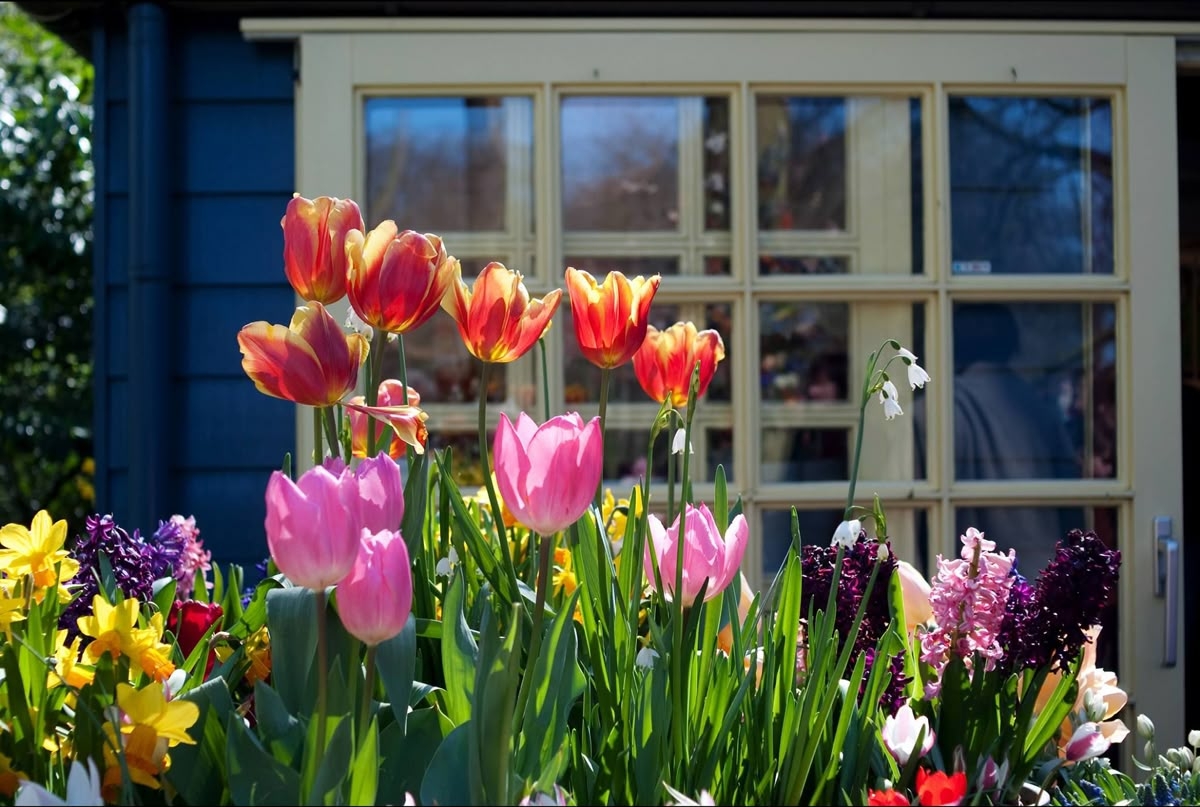Tử vi vòng quay công nghệ ngày 4/2/2026: Tuổi Mão trở ngại tình cảm, tuổi Hợi tin vui tài chính Tử vi vòng quay công nghệ ngày 4/2/2026: Tuổi Mão trở ngại tình cảm, tuổi Hợi tin vui tài chính