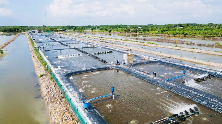 Cà Mau thúc đẩy chuyển đổi số trong hoạt động khuyến nông