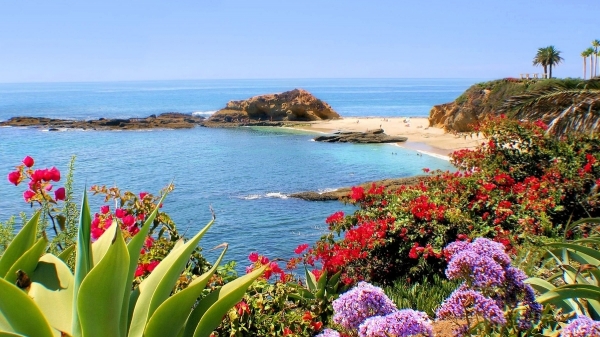 Tử vi vòng quay công nghệ ngày 7/2/2026: Tuổi Tuất dễ vướng thị phi, tuổi Dần dấu hiệu tích cực