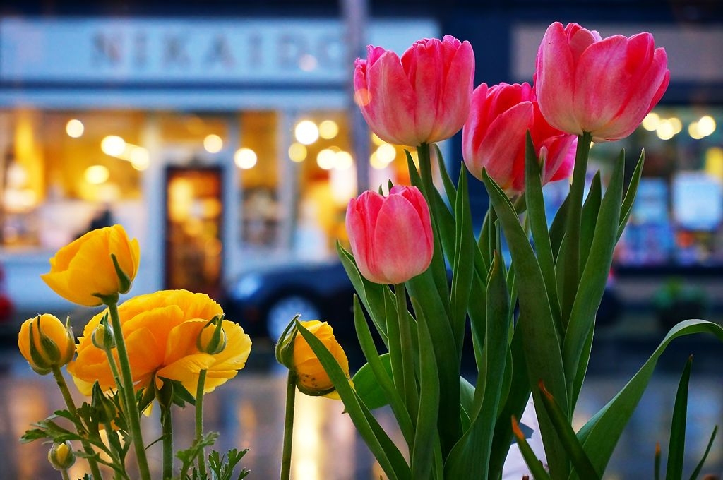 Tử vi vòng quay công nghệ ngày 8/2/2026: Tuổi Dần dễ tranh cãi, tuổi Thân tín hiệu tích cực