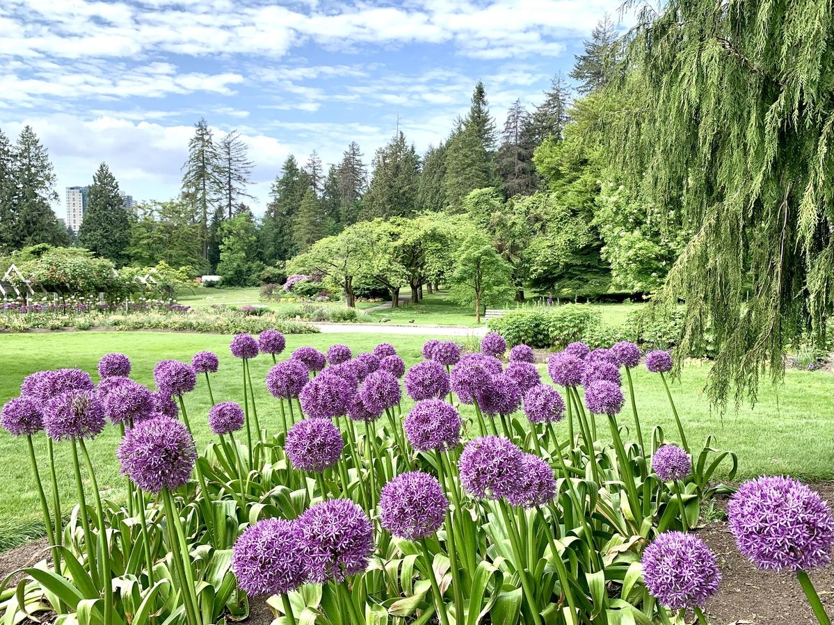 Tử vi vòng quay công nghệ ngày 9/2/2026: