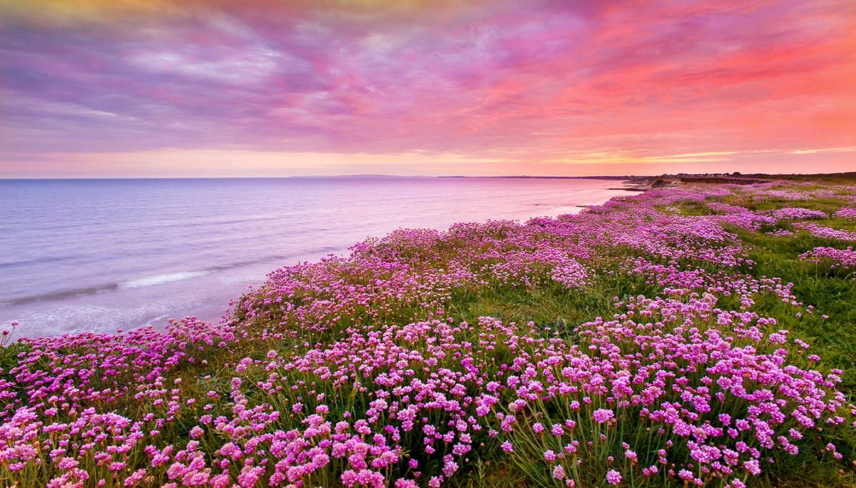 Tử vi vòng quay công nghệ ngày 20/2/2026: Tuổi Mùi dễ gặp xui xẻo, tuổi Thân tài lộc dồi dào Tử vi vòng quay công nghệ ngày 20/2/2026: Tuổi Mùi dễ gặp xui xẻo, tuổi Thân tài lộc dồi dào