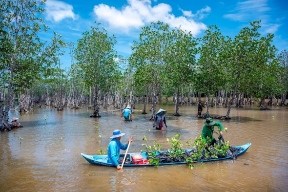 Cà Mau yêu cầu rà soát quỹ đất phục vụ công tác trồng rừng