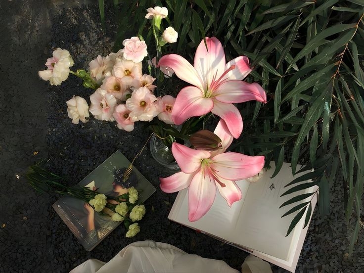 Tử vi vòng quay công nghệ ngày 24/2/2026: Tuổi Sửu mâu thuẫn nội bộ, tuổi Thìn cơ hội để kiếm tiền