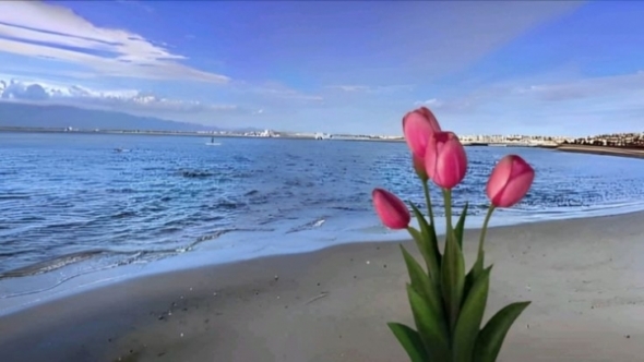 Tử vi vòng quay công nghệ ngày 26/2/2026: Tuổi Ngọ thuận lợi bất ngờ, tuổi Tỵ nhiều tác động xấu