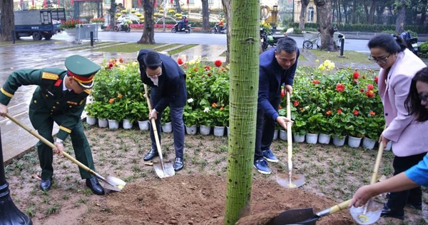 Hà Nội hưởng ứng phong trào ‘Tết trồng cây đời đời nhớ ơn Bác Hồ’, lan tỏa ý thức bảo vệ môi trường