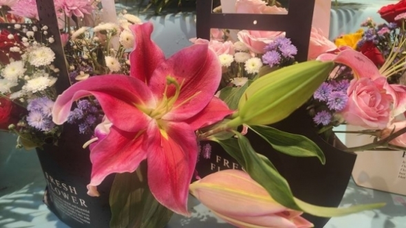 Tử vi vòng quay công nghệ ngày 28/2/2026: Tuổi Tý một ngày vượng, tuổi Dần chú ý lối hành xử