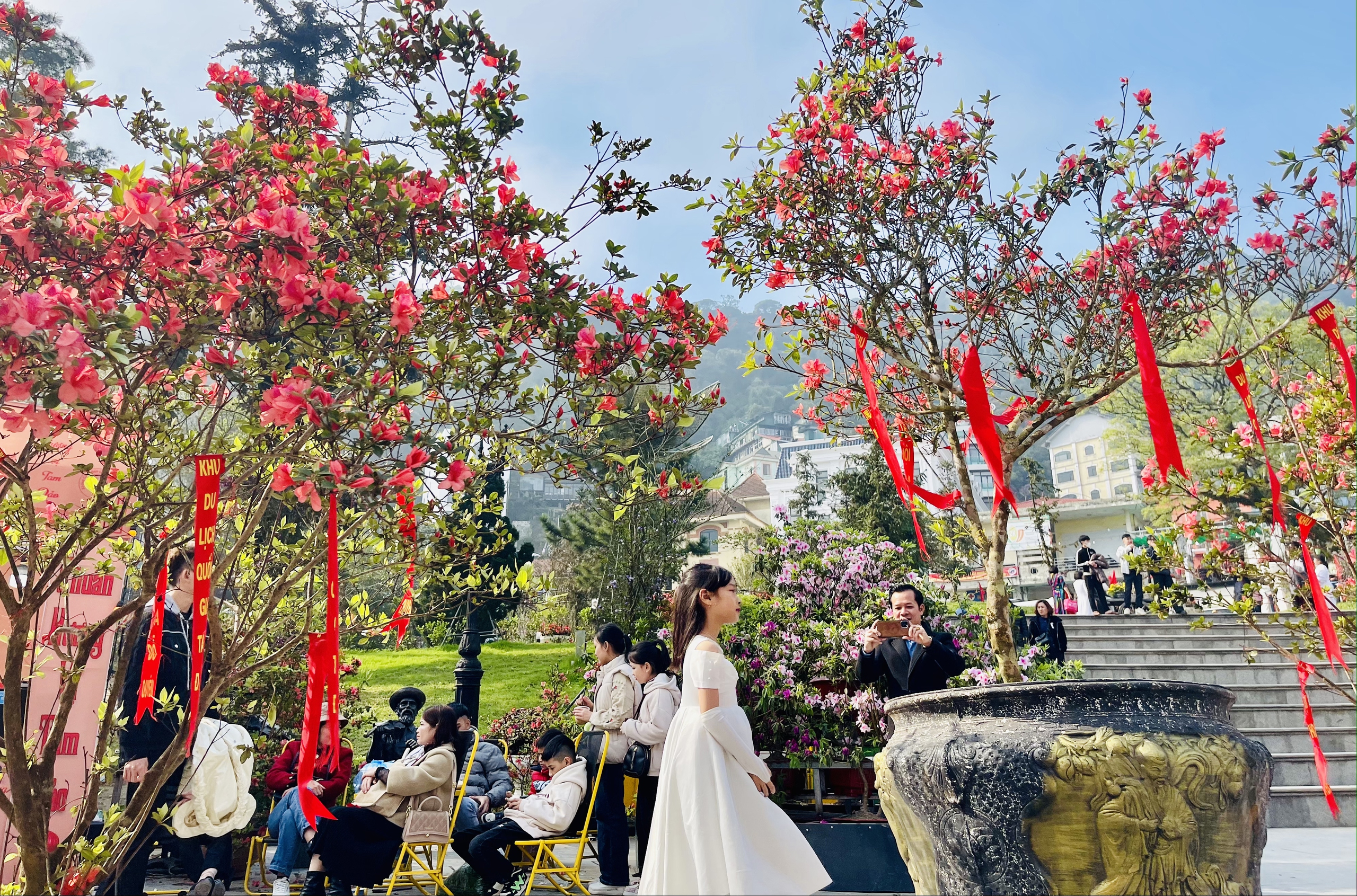 Mùa hoa đỗ quyên nở rực rỡ "hút" khách du lịch đến Tam Đảo