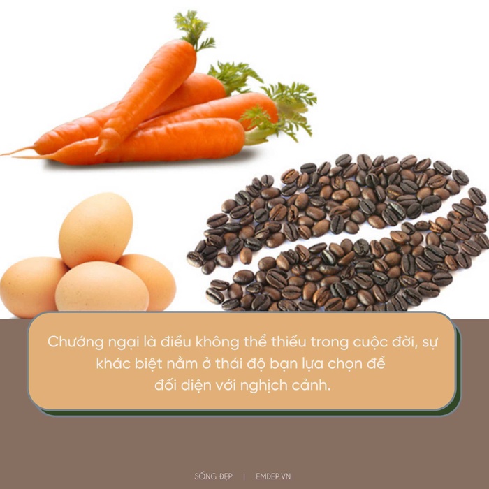 3 câu chuyện nhỏ truyền cảm hứng giúp bạn lấy lại niềm tin vào bản thân và thêm trân trọng chính mình 3 câu chuyện nhỏ truyền cảm hứng giúp bạn lấy lại niềm tin vào bản thân và thêm trân trọng chính mình