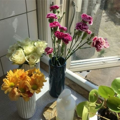 Tử vi 12 con giáp ngày 8/3/2024: Tuổi Tý lao đao công việc, tuổi Hợi đón nhận tin vui