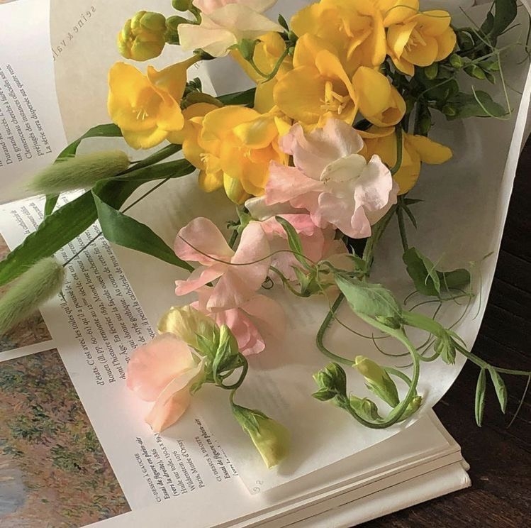 Tử vi 12 con giáp ngày 9/3/2024: Tuổi Tuất trục trặc bất ngờ, tuổi Sửu tình duyên suôn sẻ